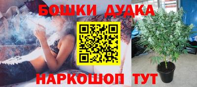 спиды Кунгур