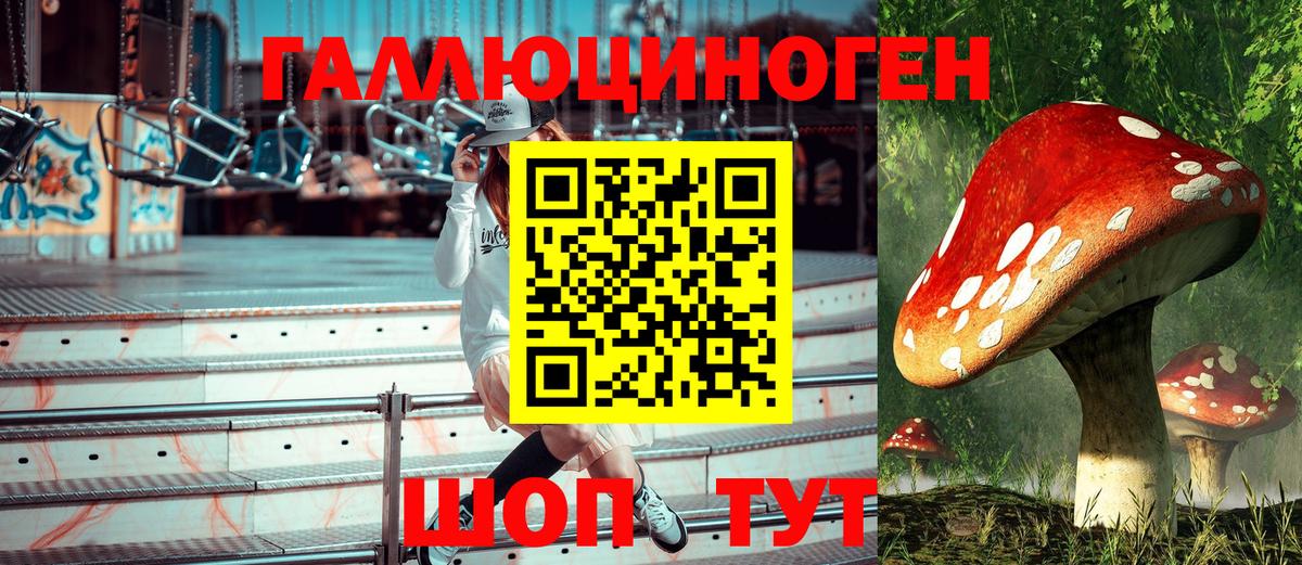 где купить наркотик  Псилоцибиновые грибы GOLDEN TEACHER  Вход с VPN  Киселёвск 