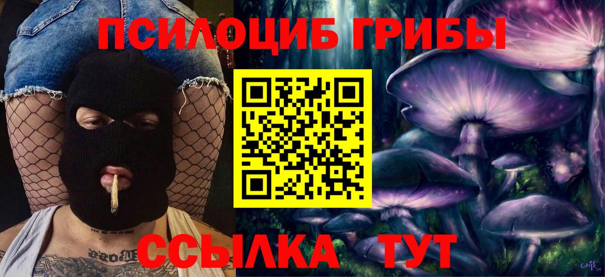 Галлюциногенные грибы ЛСД Киселёвск